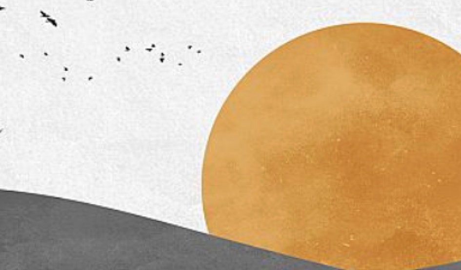 Portfolio Management Services