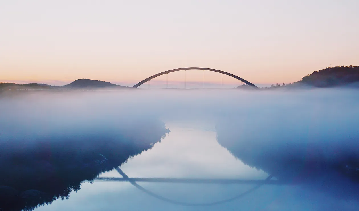 Portfolio Management Services