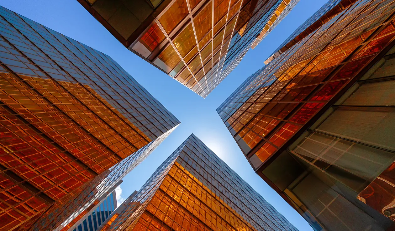 Portfolio Management Services